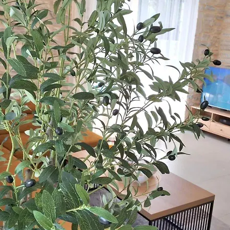 Aria Malinska With Heated Pool And Free E-bikes Vila